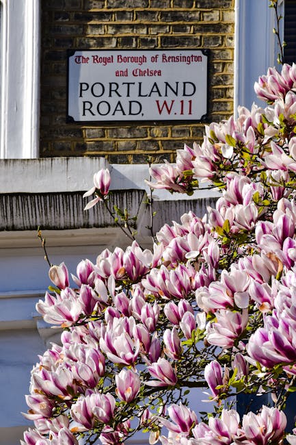 Close-up view of a house exterior showing a street sign for Portland Road, W.11, mounted on a brick wall beneath a white window frame. In the foreground, a flowering magnolia bush with large, pink and